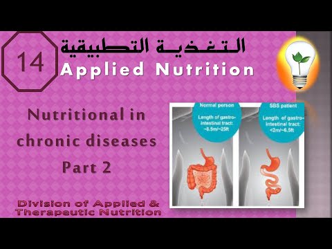 Applied Nutrition Ch 2 Meal Planning part 01 تغذية تطبيقية