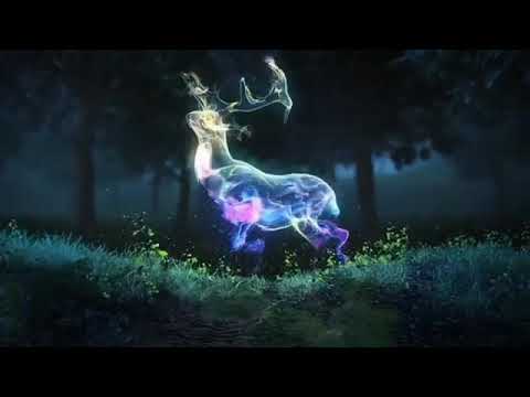 Meditation and relaxing video ||relax video ||Tanzeel qamar