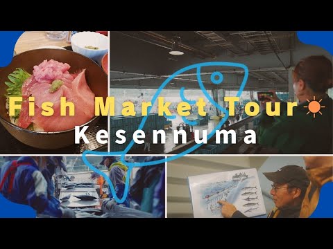 Kesennuma Morning Fish Market Tour