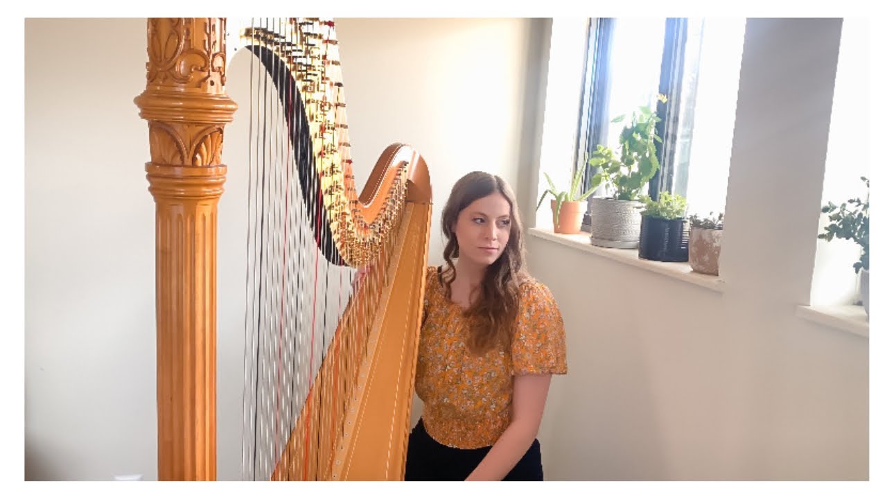 Promotional video thumbnail 2 for Joanna Seiber