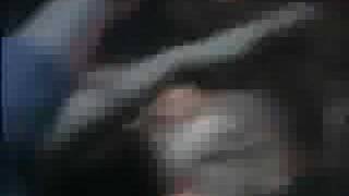 Faiz mit Dance little sister und Hot Temptation Brosis live