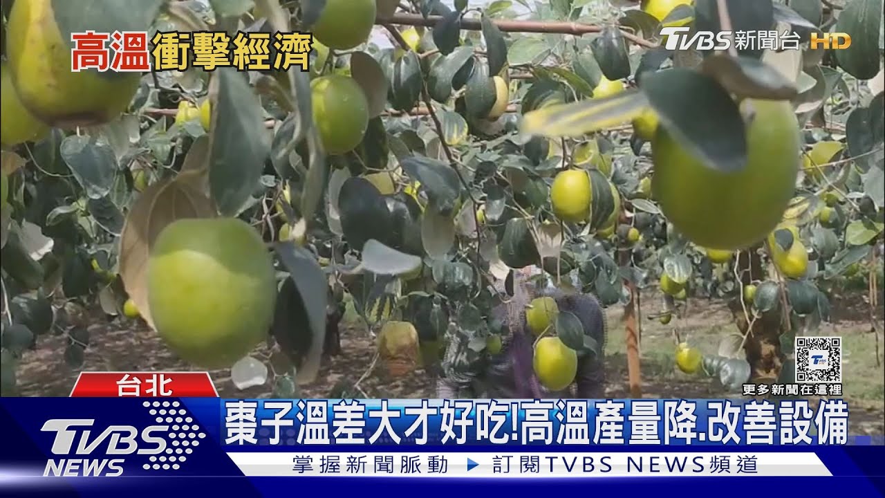 高溫衝擊!東南亞最嚴峻影響「近5%GDP」