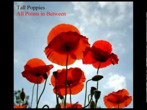 Tall Poppies - All Points in Between (a compilation)