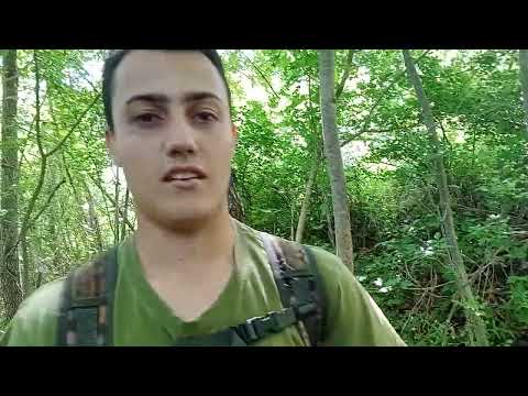 Palchi di cervo , 18/05/25 . Non ho saputo resistere...