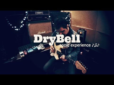 DryBell Sonic Experience - Featuring Arion SCH-1 Chorus & 1968 Vox wah