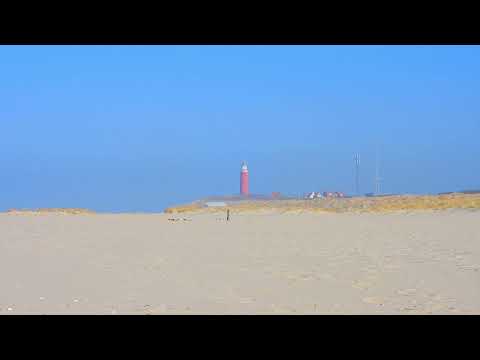 Am Strand von TEXEL 2022