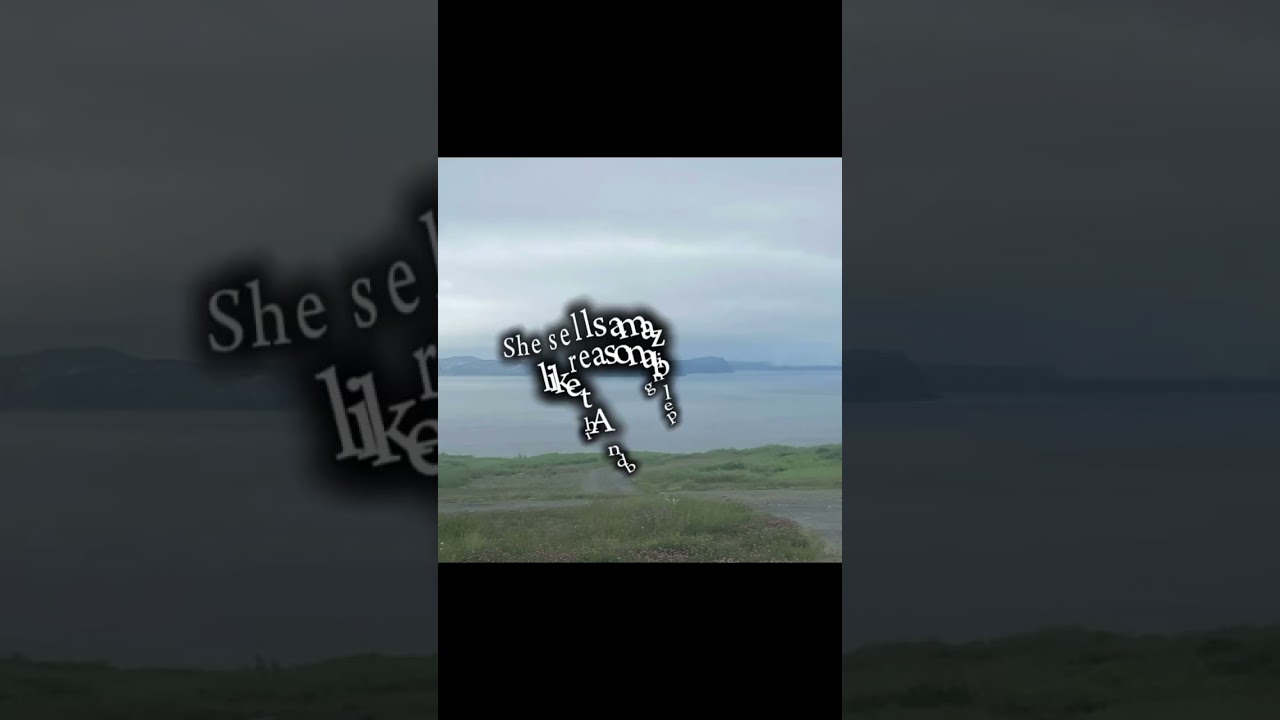 everyone attention please consider going to laughing whales workshop lots of stuff reasonable price￼