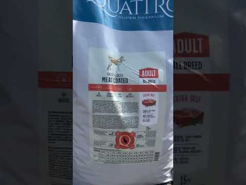 Quattro Maxi Beef сухой корм для взрослых собак крупных пород с говядиной, 15 кг - фото 1 - id-p3084957828