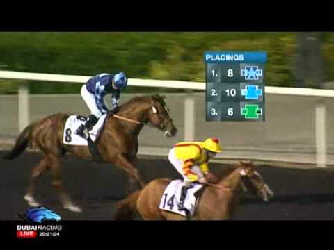 16.02.2012 Meydan (Dubai UAE) 4.Race Jaguar XJ Trophy - Handicap 1.200 m