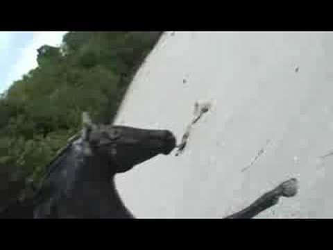 Thunderbolt- episode 1