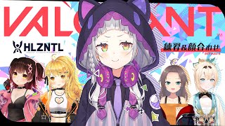 紫咲シオン - 【 VALORANT 】Bチーム顔合わせ！ラッシュパトラッシュ！【ホロライブ/紫咲シオン】