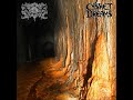 Xasthur/Casket of Dreams - Dreaded Survival