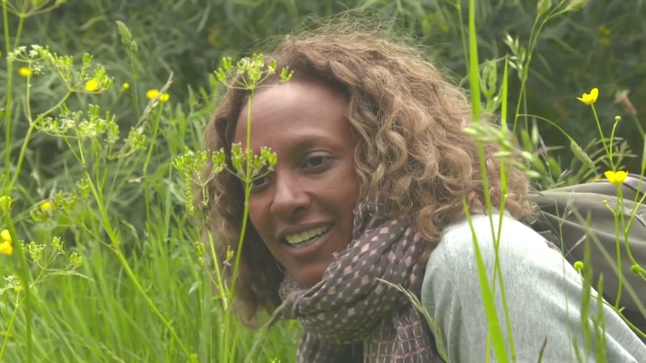 BBC Springwatch 2017 E07