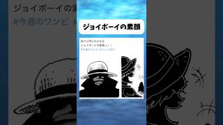 明らかになっていくジョイボーイの素顔 #ワンピース #onepiece #shorts