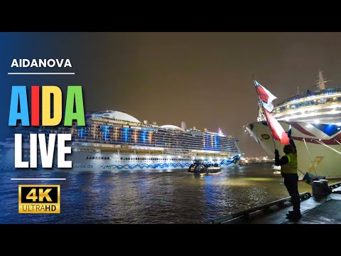 Hamburger Hafen eskaliert! AIDAnova & Arcadia im Hornbattle! ( 4K60 UHD )