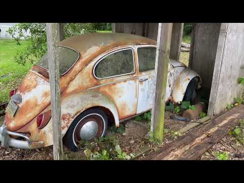 Thumbnail for VW Beetle Barn Find - Sitting over 25 Years!