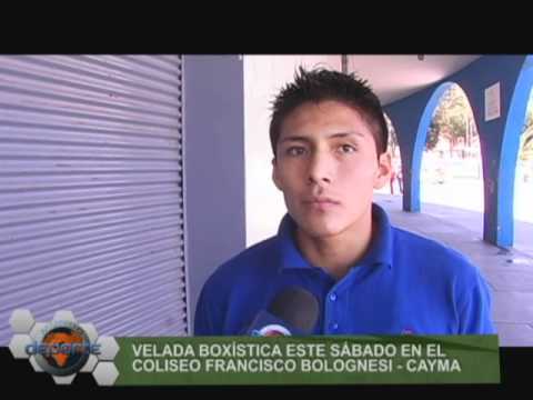 BOXEO DE AREQUIPA - MUNDO DEPORTE - DEPORTE EN RED