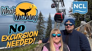 NCL Bliss | Icy Strait Point Alaska | We saw whales |