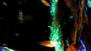 stellastarr* perform "Robot" at Rock & Roll Hotel, 7/17/09