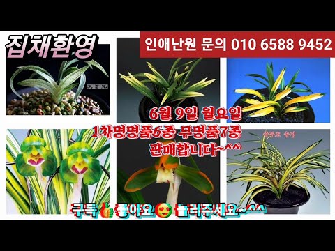 유튜브 썸네일