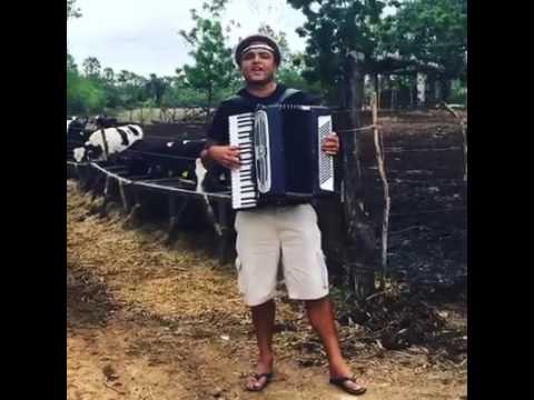 Vai Boiadeiro 🐂🐃🐄🏇