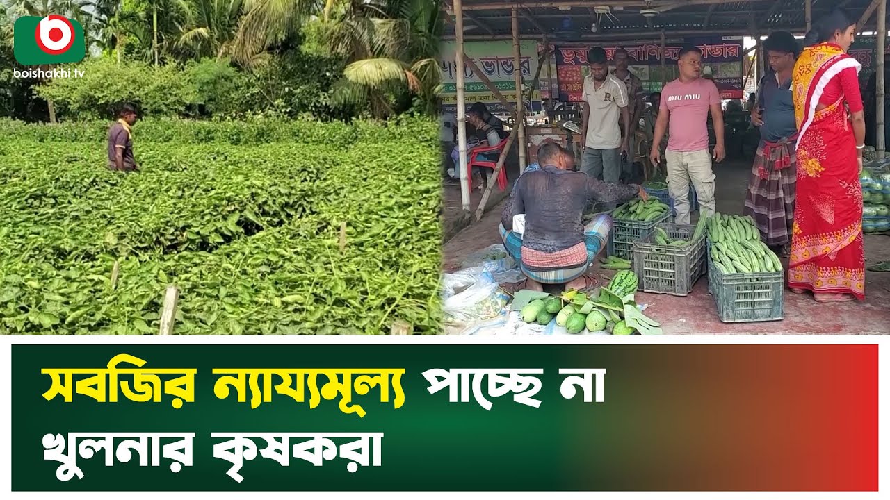 সবজির ন্যায্যমূল্য পাচ্ছে না খুলনার কৃষকরা