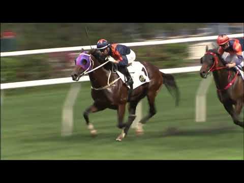 27/4/2022 (615) Whizz Kid - J Moreira