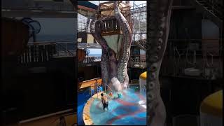 MSC Seashore Ship Tour #MSCSeashore #msccruises  #shiptour  #cruiselife #cruiseship  #msc