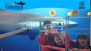 DIA 3 Expo Tiburon91