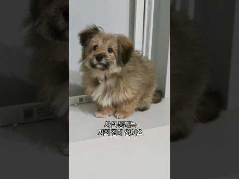 통깨는 다른 집에 보냈어요