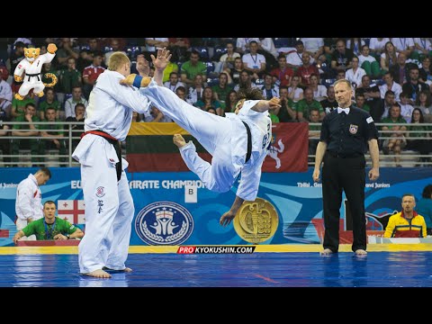 WKO EC 2016, Final -85 Valdemaras Gudauskas (Lithuania) - Marius Ilas (Romania)