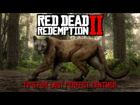 RDR2 ~ Tips for Easy Perfect Panther Spawn & Successful Hunt