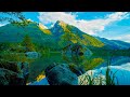 Beautiful Lake in Nature (No Sound) - 4K UHD