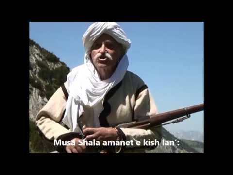 Kapllan Nikqi - Musë Shqypnia