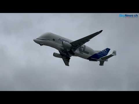 Beluga XL in Hamburg Finkenwerder