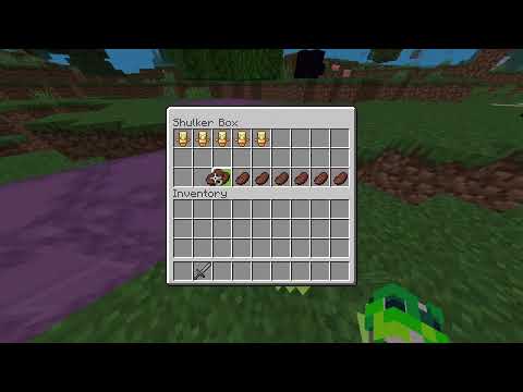 Donut smp