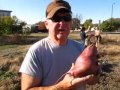 Troost Village Community Garden