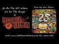 Leftover Salmon - Up On The Hill Where We Do The Boogie - "25"