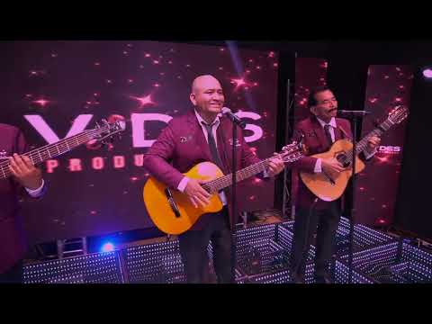 La Hora de la Fiesta // Trio Vision 2023