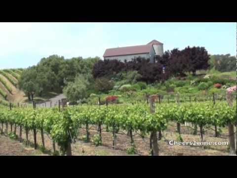 Fun Things to Do in Napa Valley