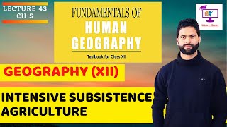 Intensive Subsistence Agriculture || Primary Activities || Ch.5 || Class 12 || Lecture 43