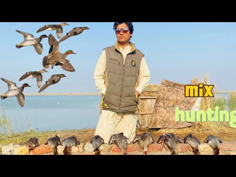 Teal gadwall hunt #birds #duckhunter