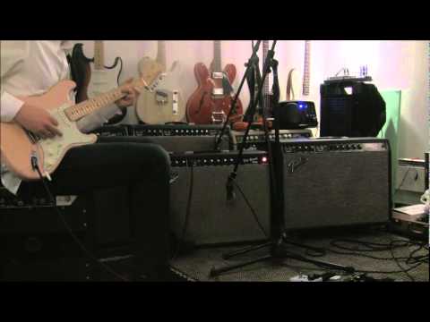 fenderguru.com's blackface Pro Reverb with Jensen C12n