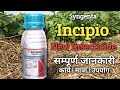 Syngenta New Incipio Insecticide | Incipio Insecticide 2023 #Incipio_insecticide #syngenta_incipio