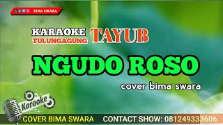 Download lagu Ngudo roso - Karaoke  Versi Tayub Tulungagung - Cover Bima Suwara mp3