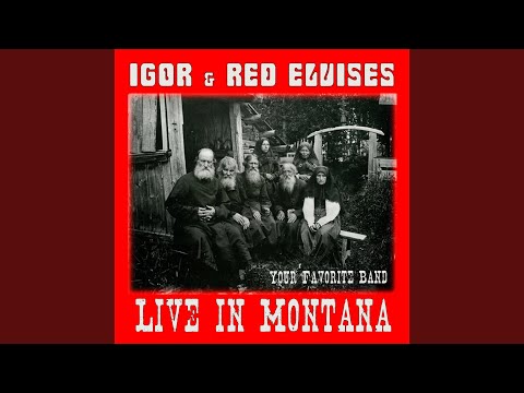 Closet Disco Dancer (Live)