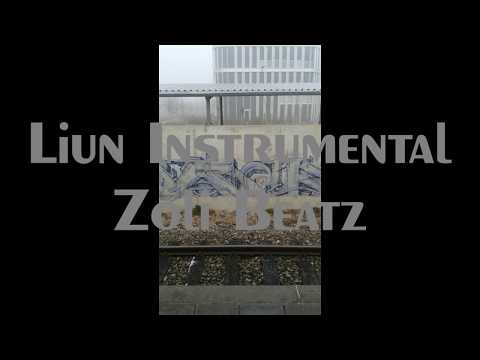 44. Liun Instrumental / Zoli Beatz - Beat "Thug Fights"