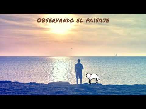 Beat de rap /uso libre/ observando el paisaje