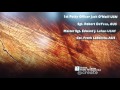 WGBH American Public Television Logos 2010