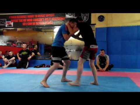 Team Ferocity - What we do